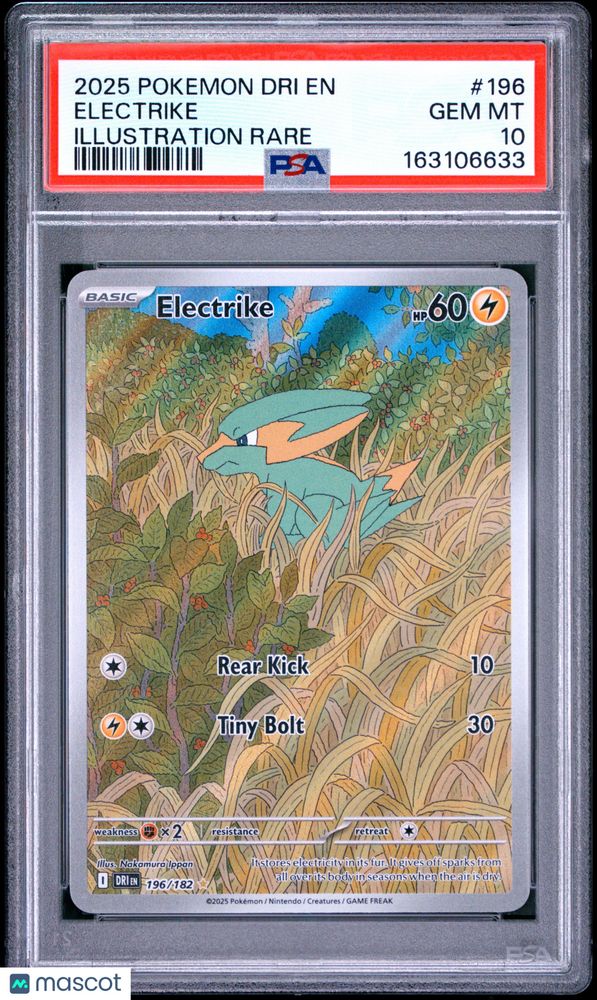 2025 Pokemon Dri EN-Destined Rivals Electrike #196 Illustration Rare PSA 10