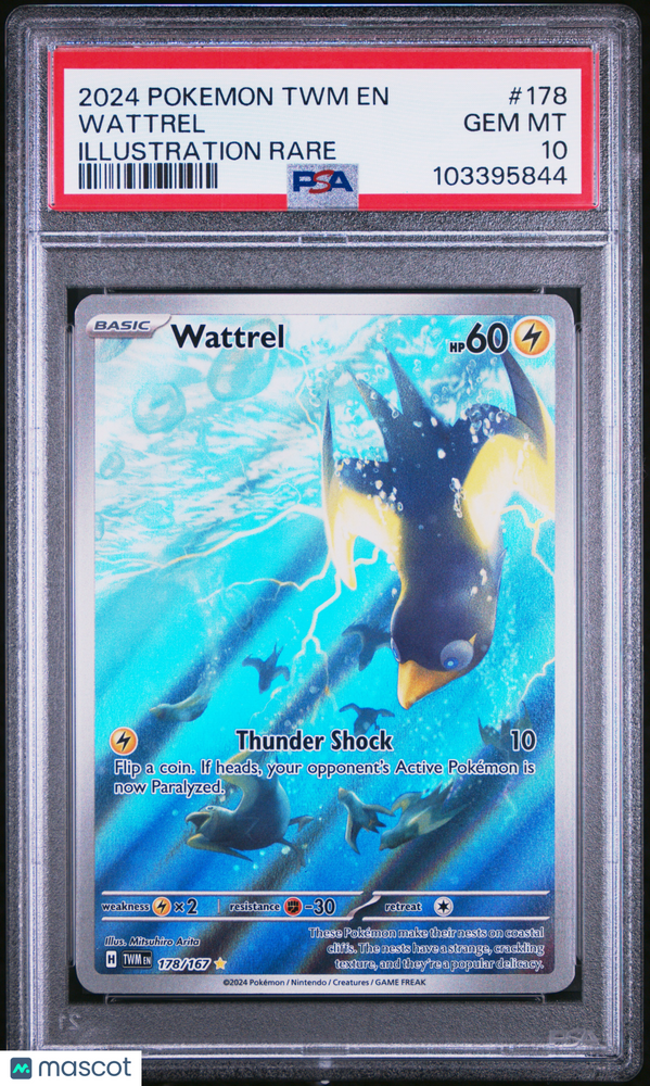 2024 Pokemon TWM EN-Twilight Masquerade Wattrel #178 Illustration Rare PSA 10