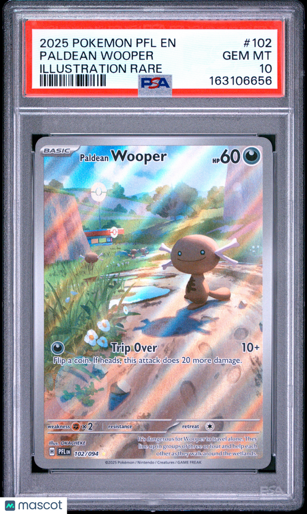 2025 Pokemon PFL EN-Phantasmal Flames Paldean Wooper #102 Illustration Rare PSA 10
