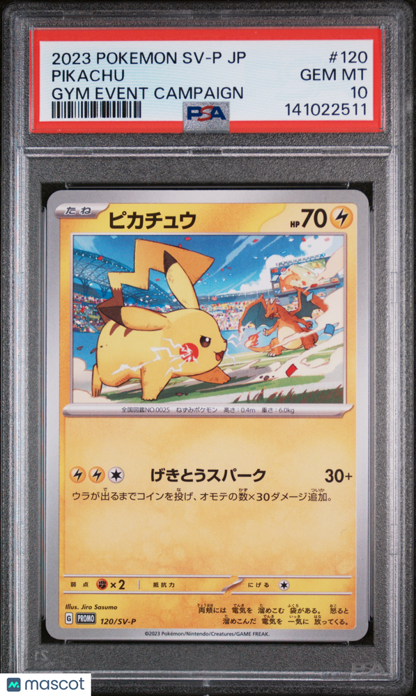 2023 Pokemon Japanese SV-P Promo Pikachu #120 Japanese Gym Event Campaign PSA 10