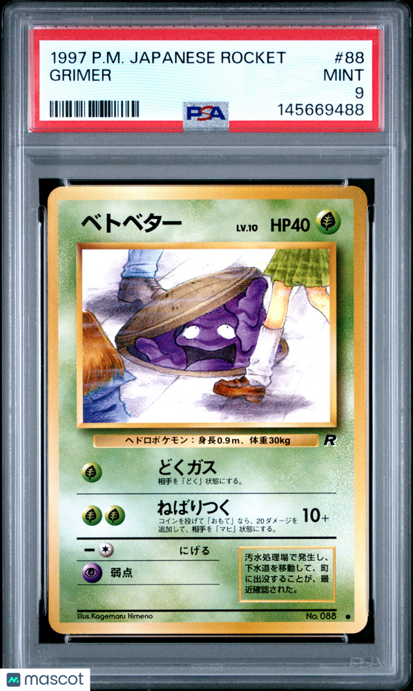 All Pokemon - Rizo Sports All Pokemon - Rizo Sports