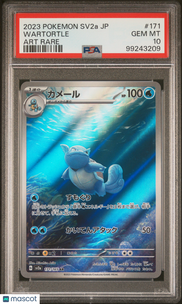 2023 Pokemon Japanese Sv2a-Pokemon 151 Wartortle #171 Japanese Art Rare PSA 10
