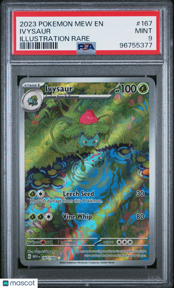 2023 Pokemon Mew EN-151 Ivysaur #167 Illustration Rare PSA 9