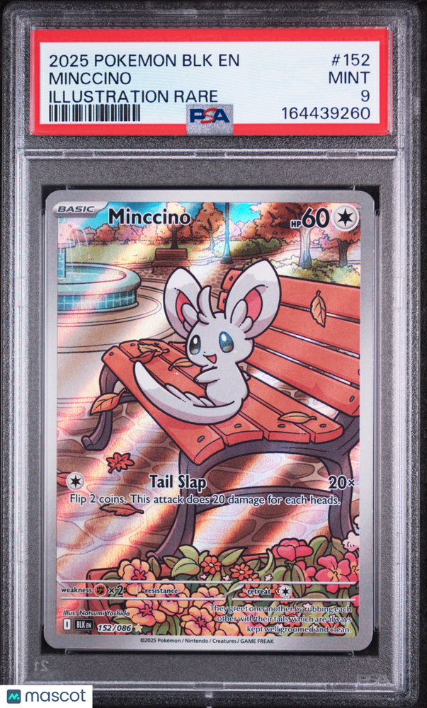 2025 Pokemon BLK EN-Black Bolt Minccino #152 Illustration Rare PSA 9
