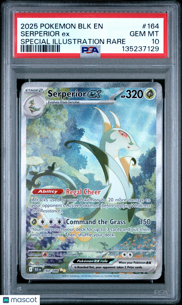 2025 Pokemon BLK EN-Black Bolt Serperior EX #164 Special Illustration Rare PSA 10